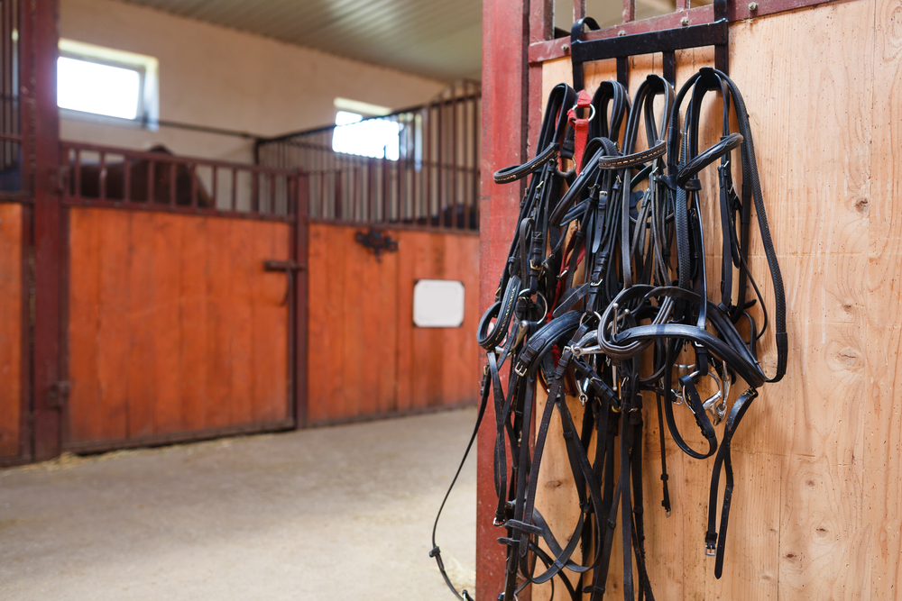 Tips for Reducing Horse Tack Clutter